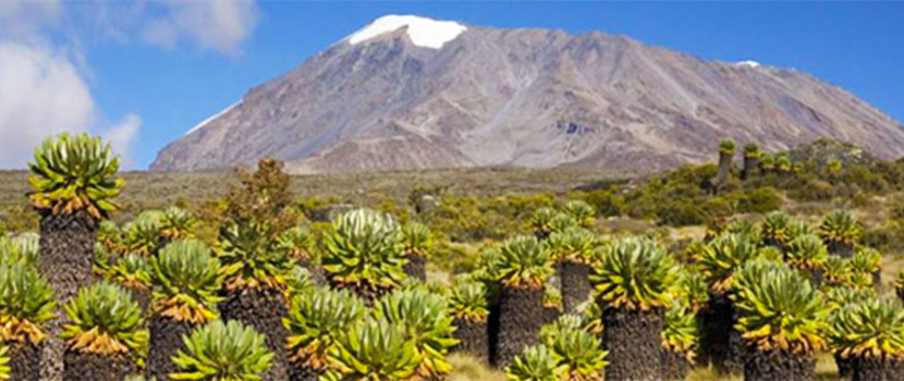 machame route