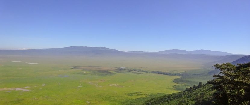 Greatlookssafaris 13 Days (4)