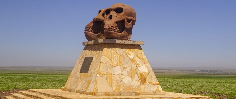 Greatlookssafaris 13 Days (5)