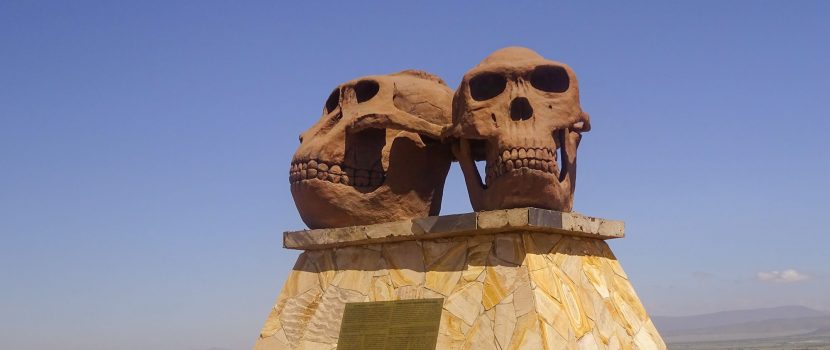 Greatlookssafaris 5 Days (5)