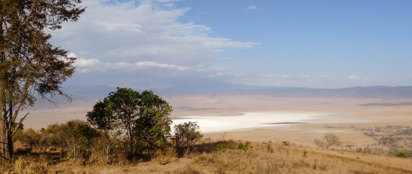 Greatlookssafaris 6 Days (2)