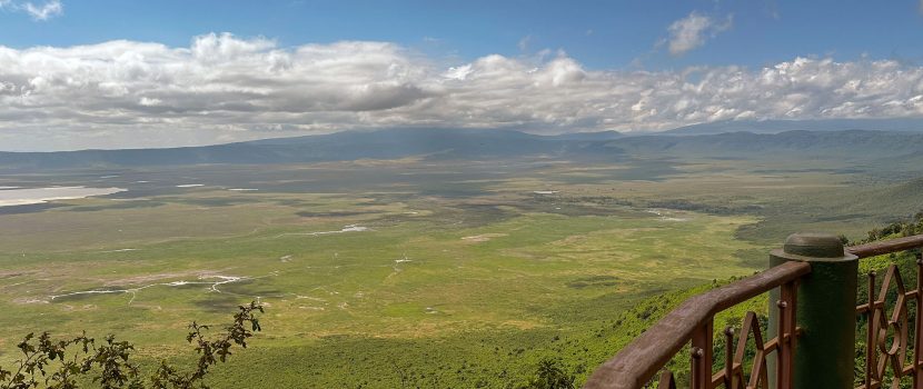 Greatlookssafaris 7 Days (4)